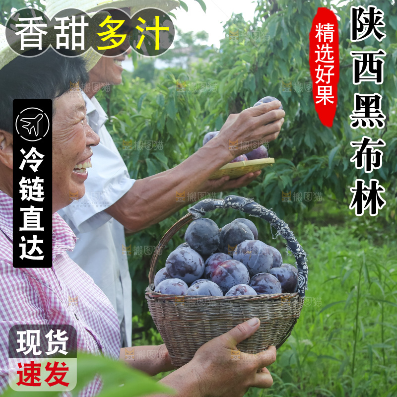 新鲜现摘黑布林