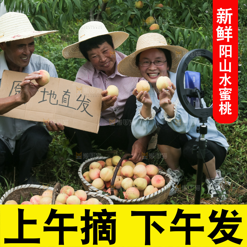 手里拿着现摘水蜜桃