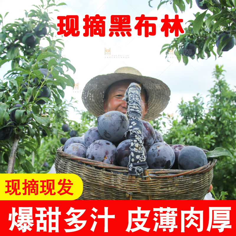 新鲜现摘黑布林