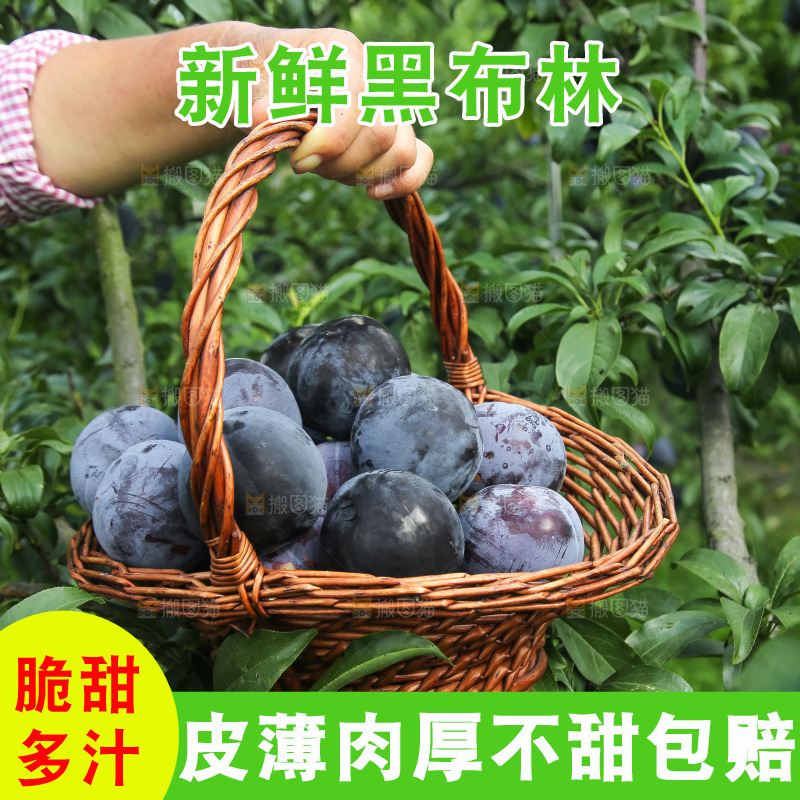 新鲜现摘黑布林
