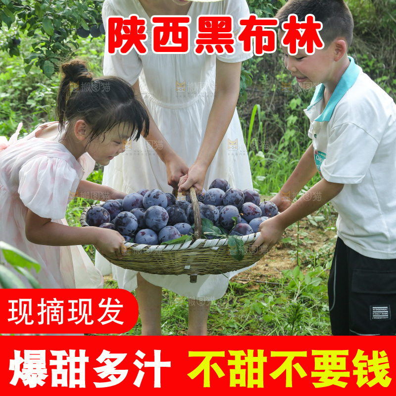 新鲜现摘黑布林