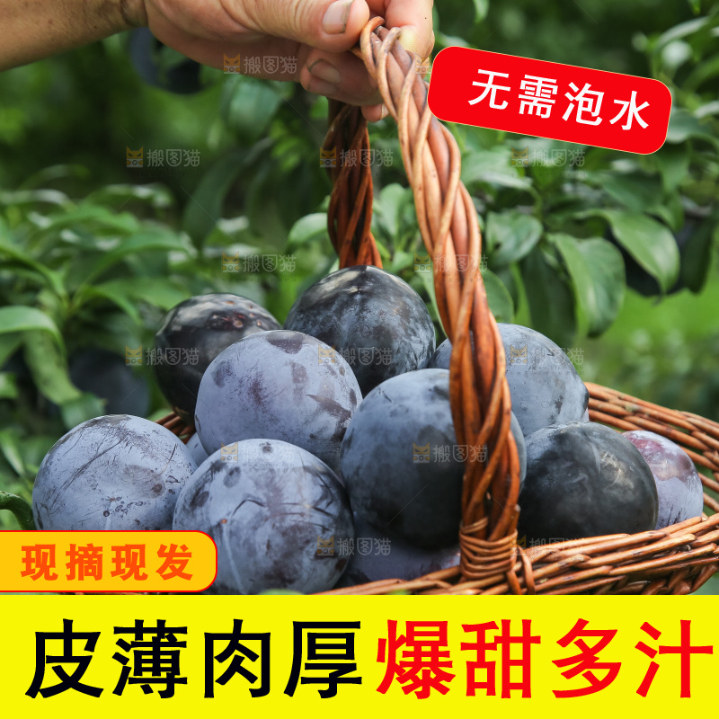新鲜现摘黑布林