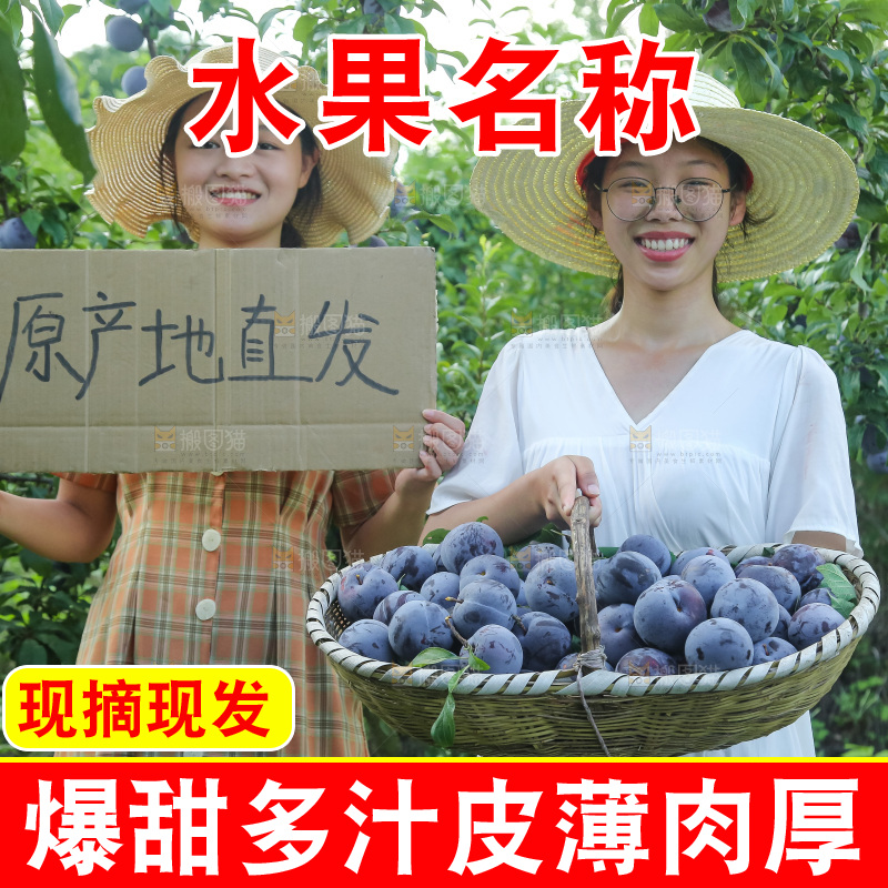 新鲜现摘黑布林