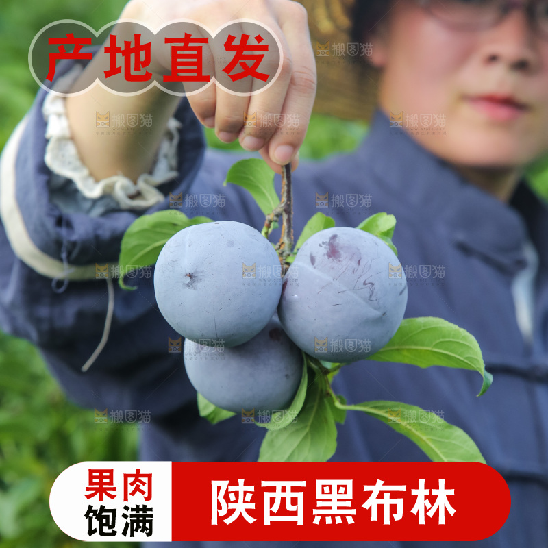 新鲜现摘黑布林