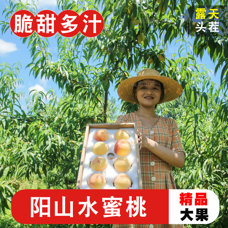 手里拿着现摘水蜜桃