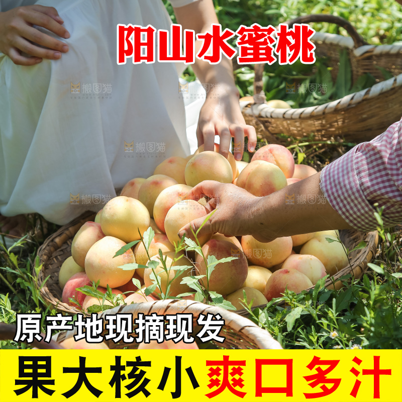 手里拿着现摘水蜜桃