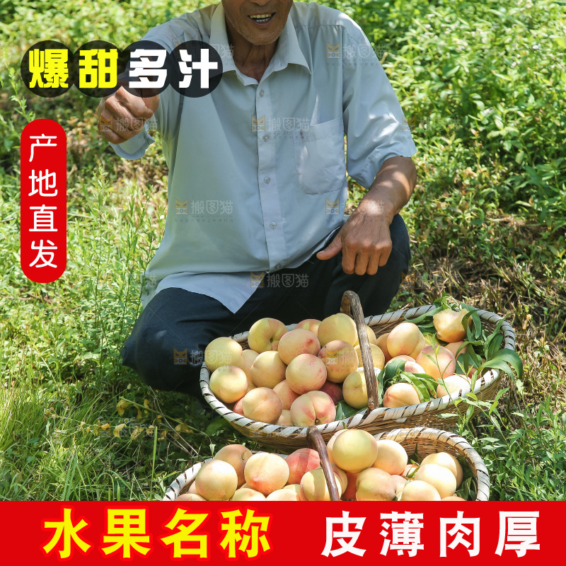 手里拿着现摘水蜜桃