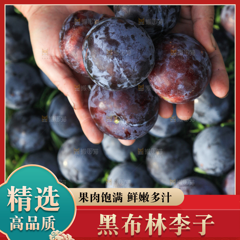 新鲜现摘黑布林
