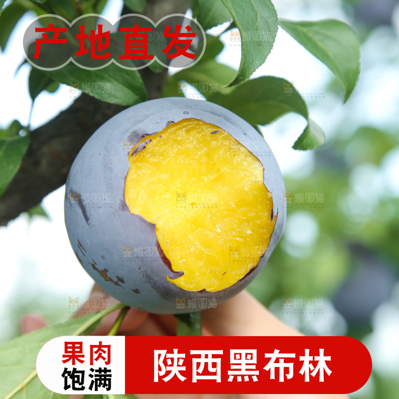 新鲜现摘黑布林