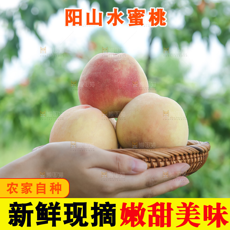 手里拿着现摘水蜜桃