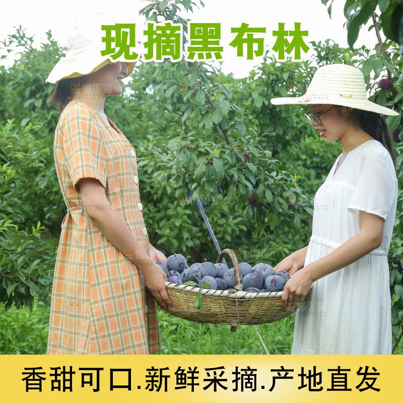 新鲜现摘黑布林