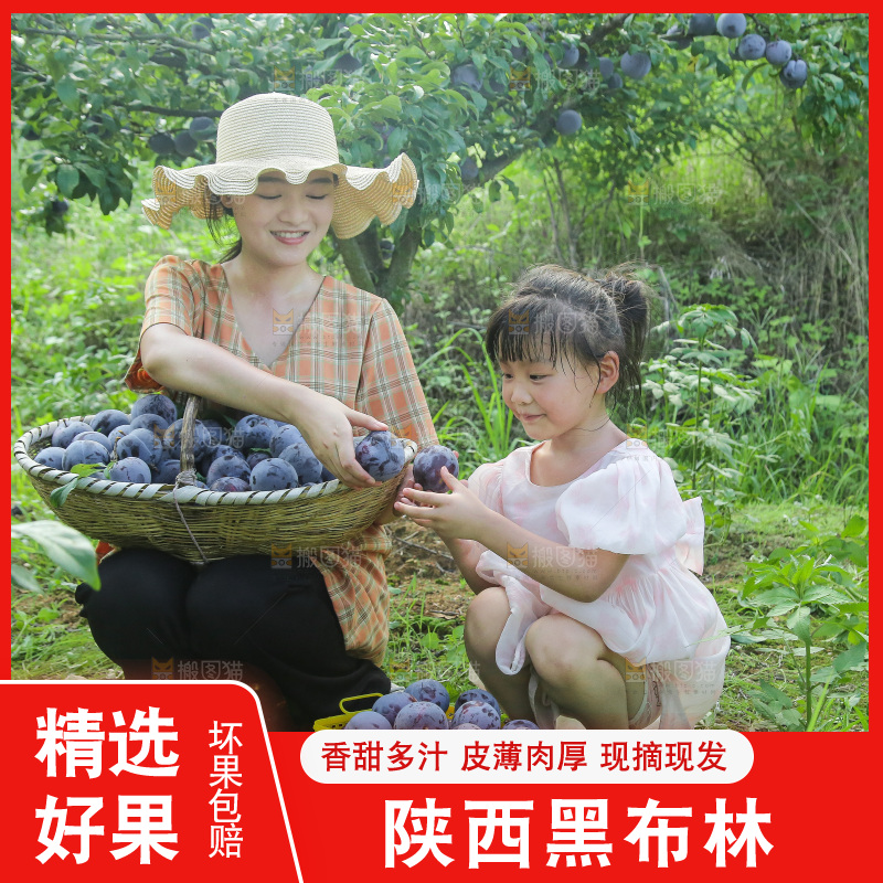 新鲜现摘黑布林