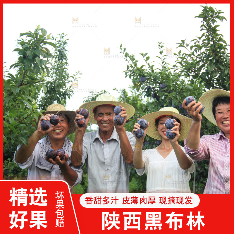 新鲜现摘黑布林