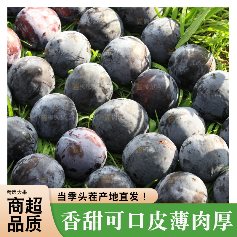 新鲜现摘黑布林