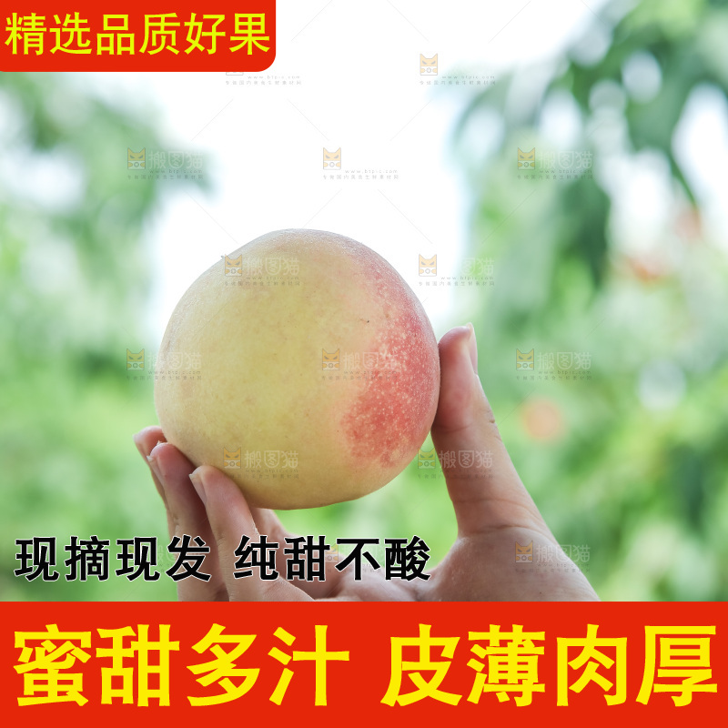 手里拿着现摘水蜜桃
