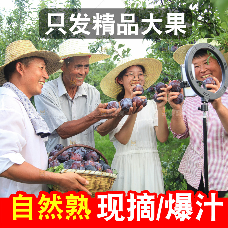 新鲜现摘黑布林