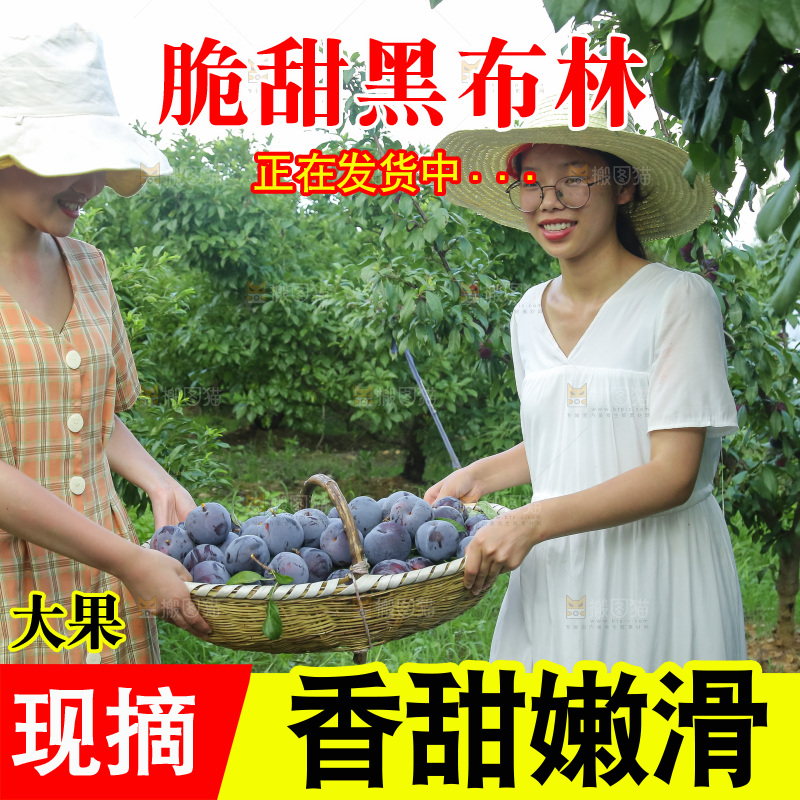 新鲜现摘黑布林