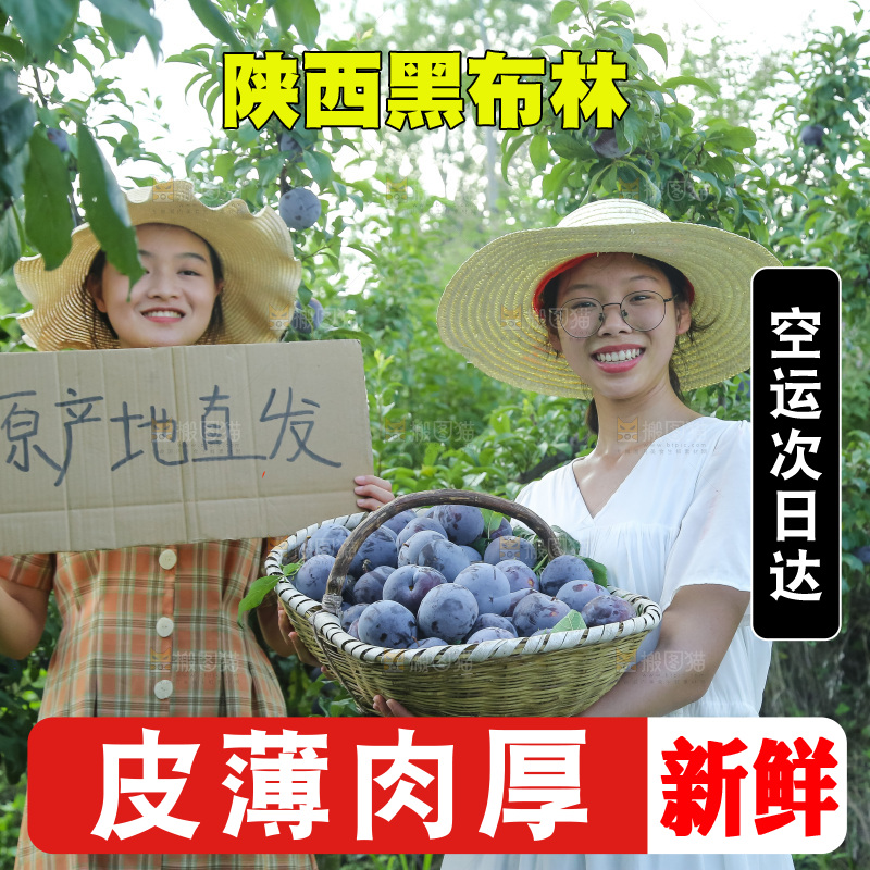 新鲜现摘黑布林