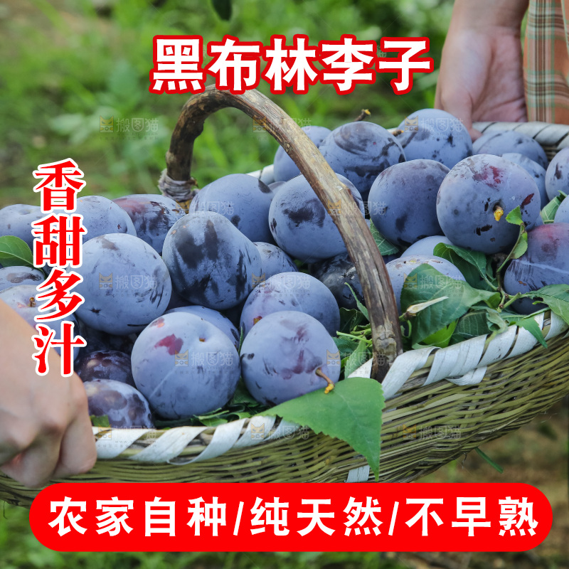 新鲜现摘黑布林