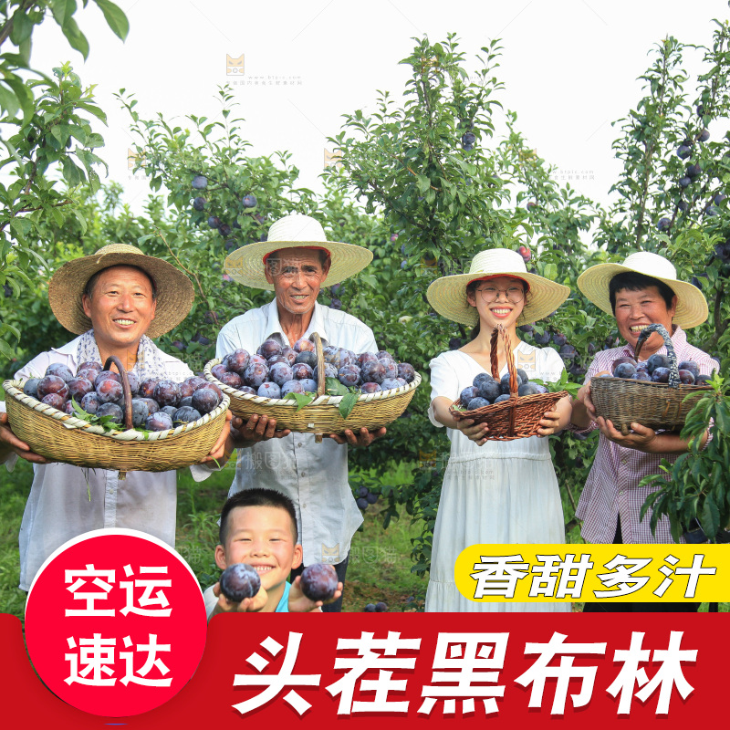 新鲜现摘黑布林