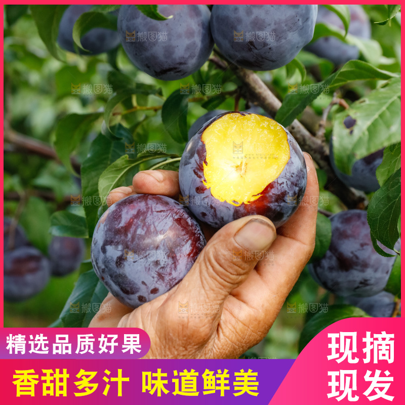 新鲜现摘黑布林