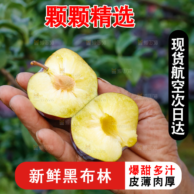 新鲜现摘黑布林