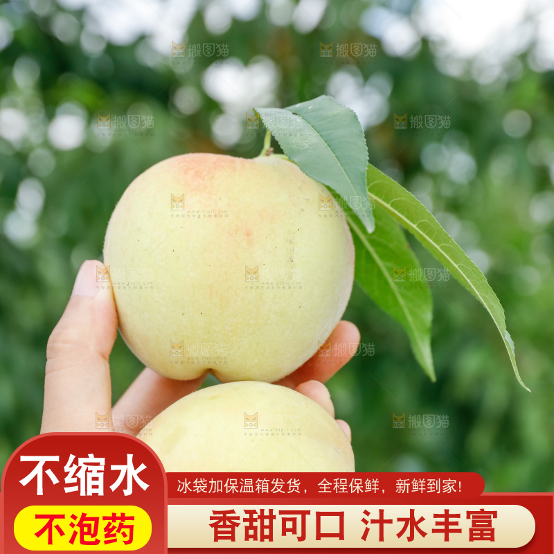 手里拿着现摘水蜜桃