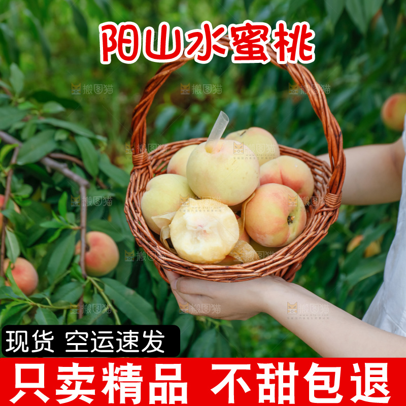 手里拿着现摘水蜜桃