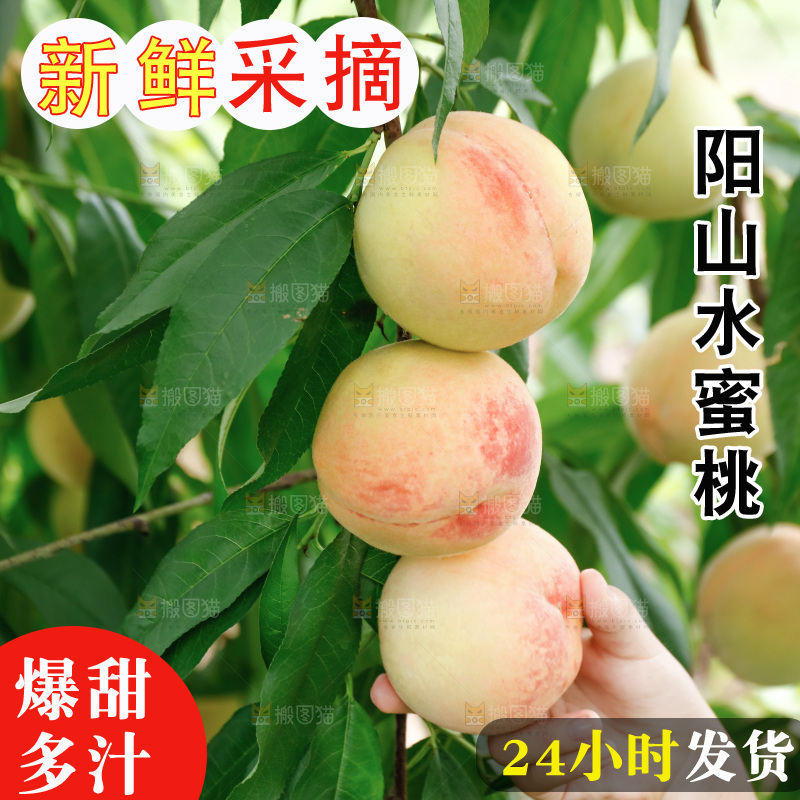 手里拿着现摘水蜜桃