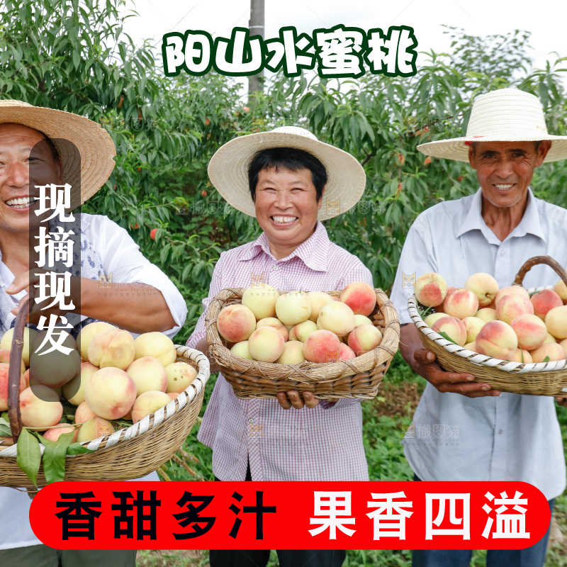 手里拿着现摘水蜜桃