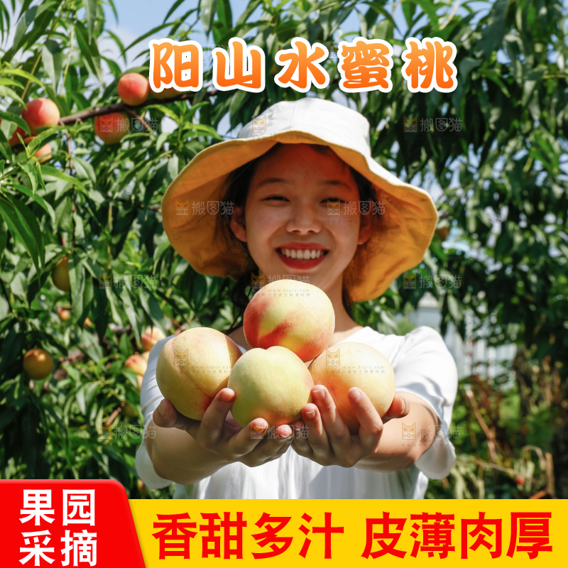手里拿着现摘水蜜桃