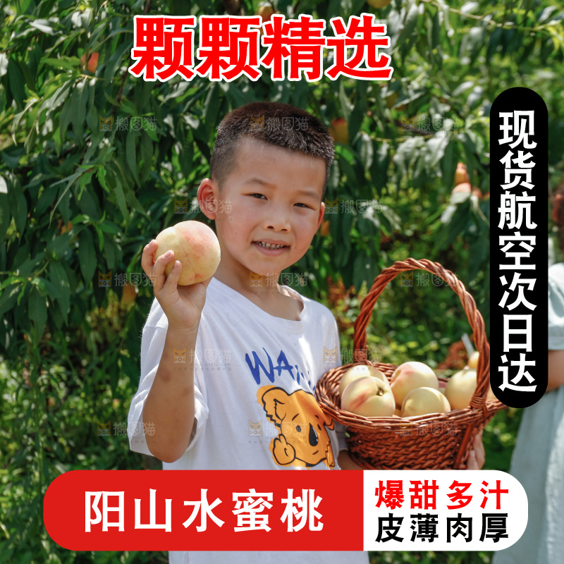 手里拿着现摘水蜜桃
