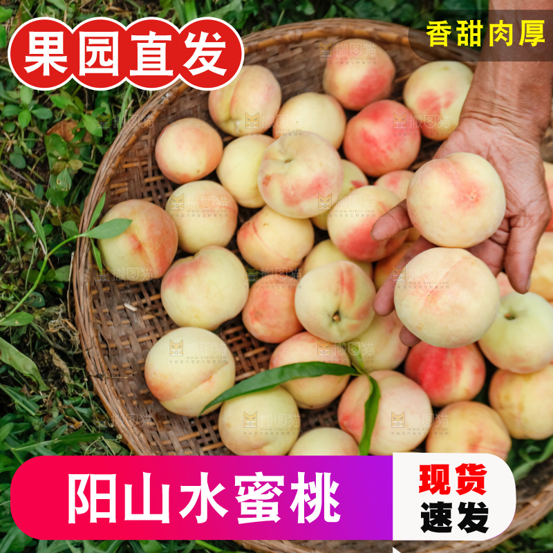 手里拿着现摘水蜜桃