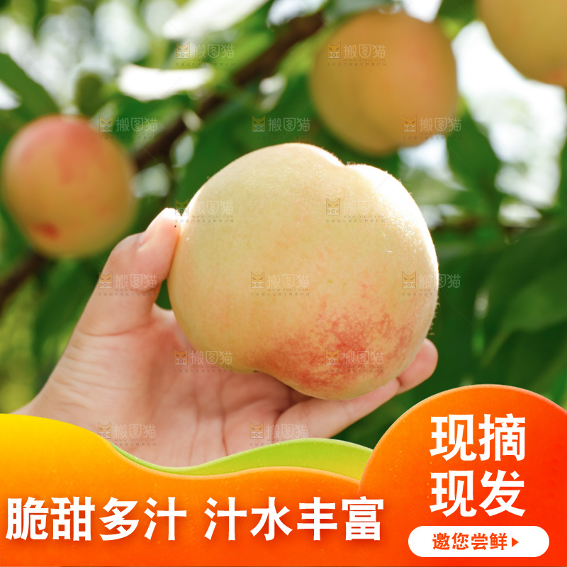 手里拿着现摘水蜜桃