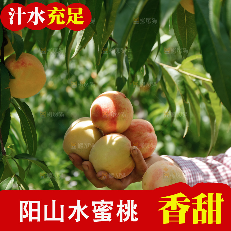 手里拿着现摘水蜜桃