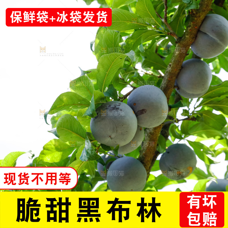 新鲜现摘黑布林