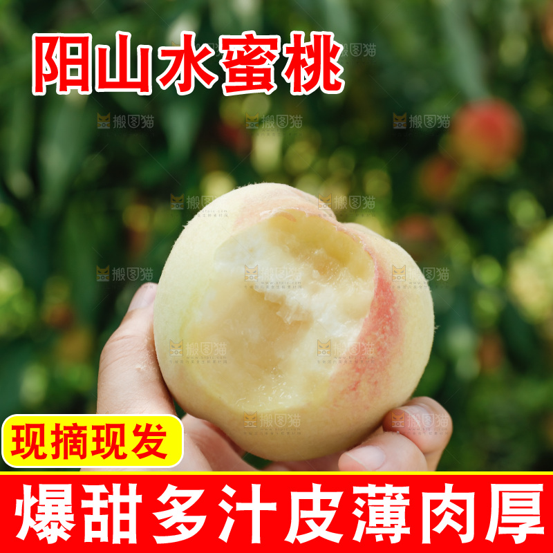 手里拿着现摘水蜜桃