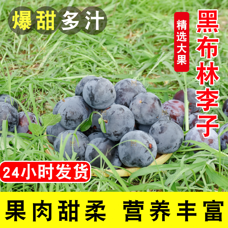 新鲜现摘黑布林