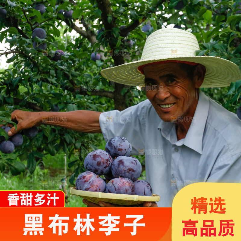 新鲜现摘黑布林