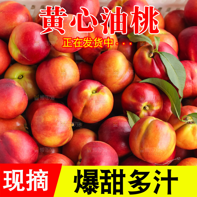 现摘的新鲜黄心油桃