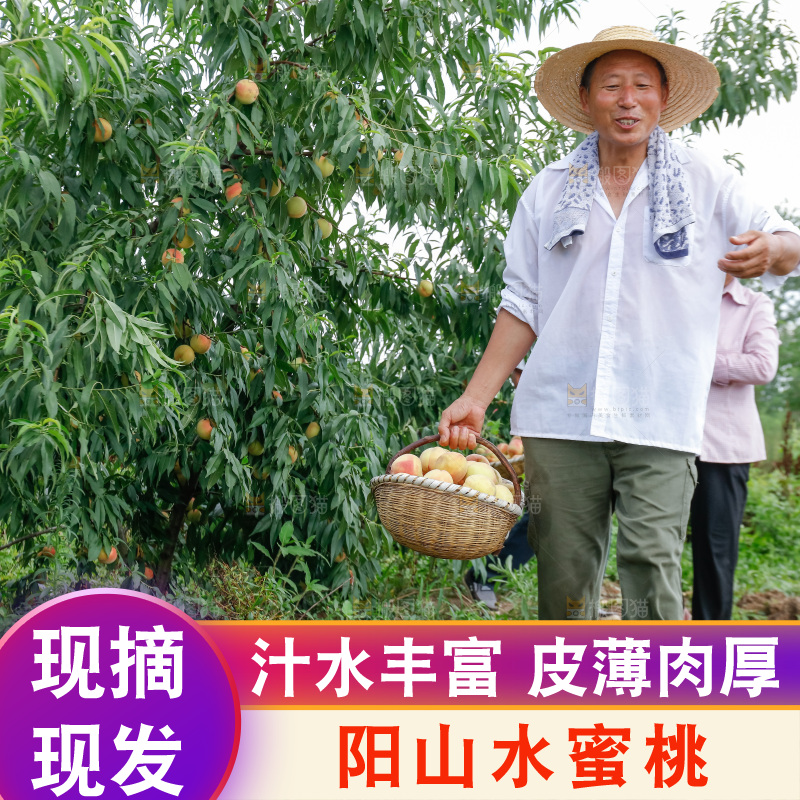手里拿着现摘水蜜桃