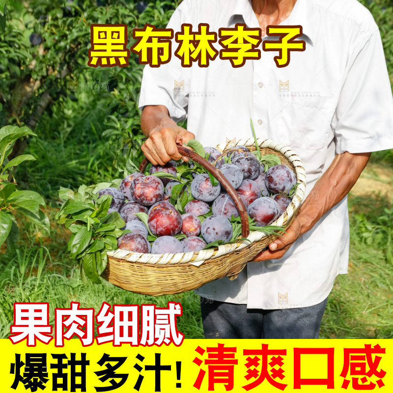 新鲜现摘黑布林