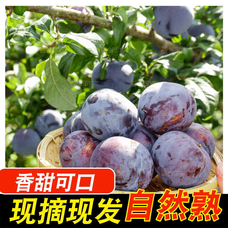 新鲜现摘黑布林