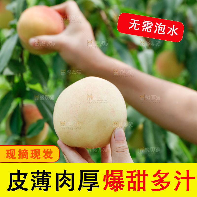 手里拿着现摘水蜜桃