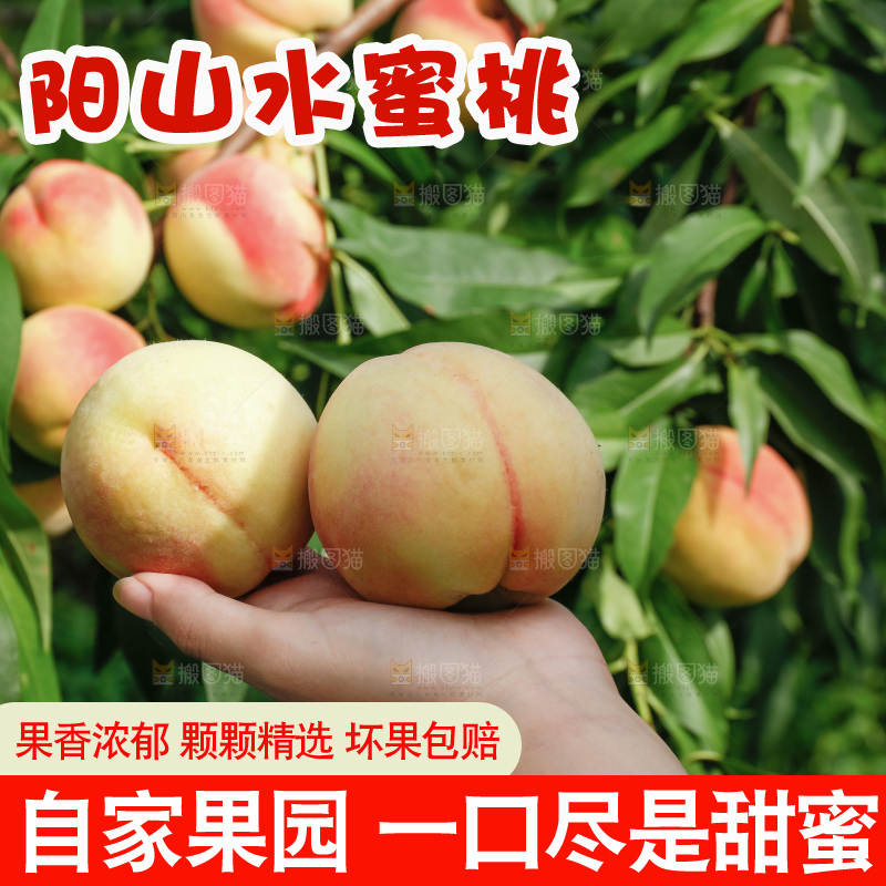 手里拿着现摘水蜜桃