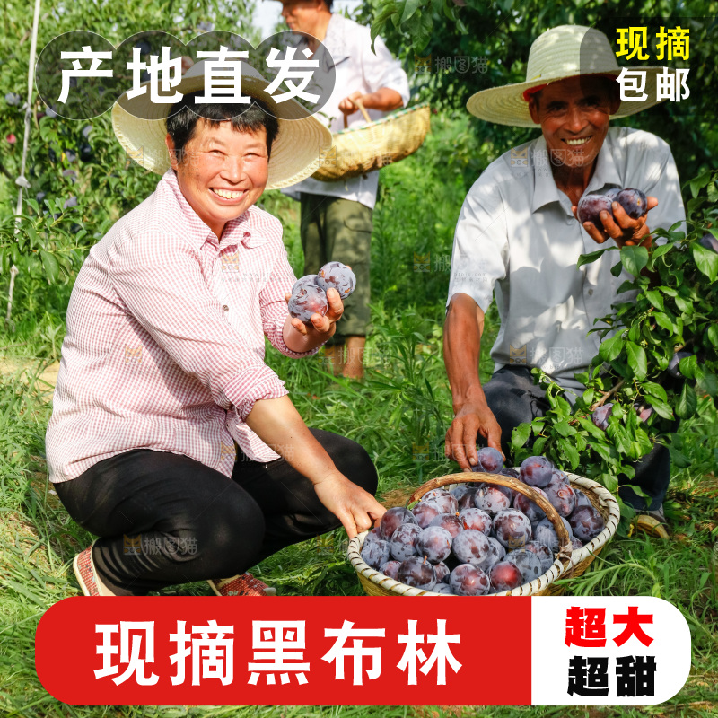 新鲜现摘黑布林