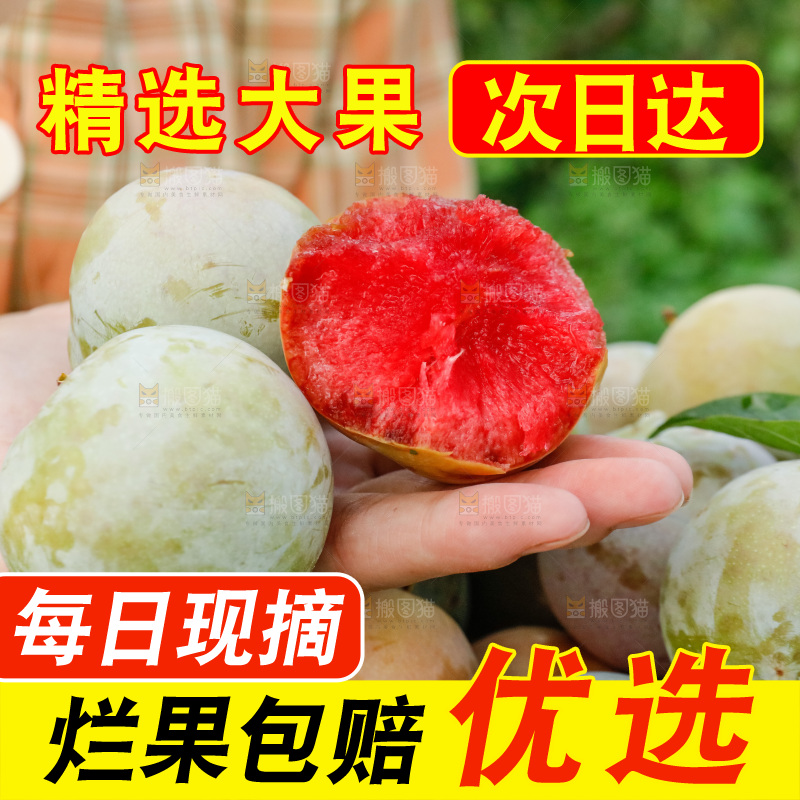 手里拿着红肉三华李
