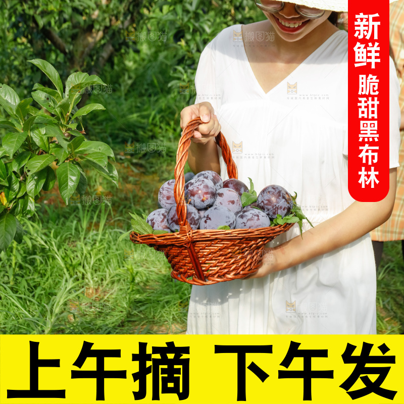 新鲜现摘黑布林