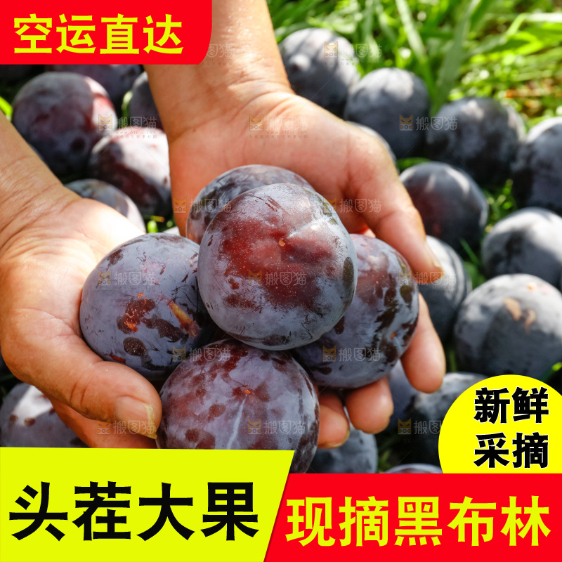 新鲜现摘黑布林