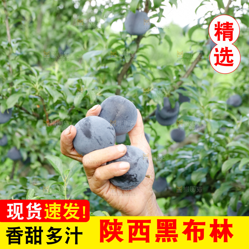 新鲜现摘黑布林
